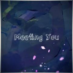 Meeting You