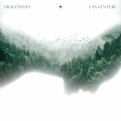 Dragonflies