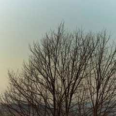 RAEPHIXX - Happy New Year prod. inasah