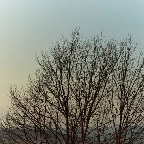 RAEPHIXX - Happy New Year prod. inasah