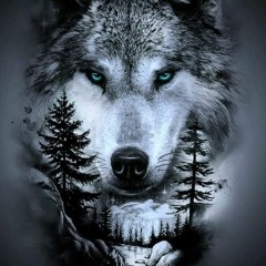 Viking Music - Wolf Spirit