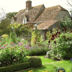 asleep among endives - ichiko aoba (cover)