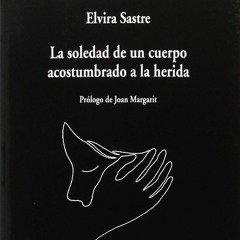'Sputnik' de Elvira Sastre.