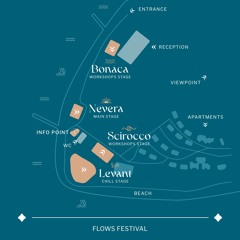 Flows Festival 2024: Meet the artists