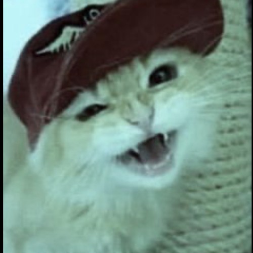 Grip on my heart / You got it (Prod. Harui)