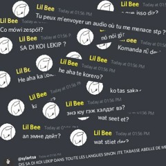 SDK LEKIP EN ENVIRON 100 LANGUES (pröz)