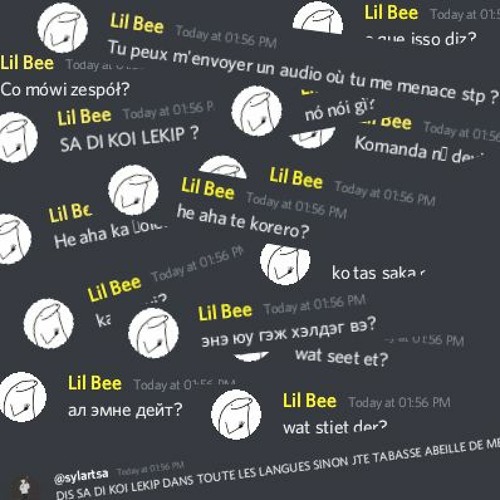SDK LEKIP EN ENVIRON 100 LANGUES (pröz)