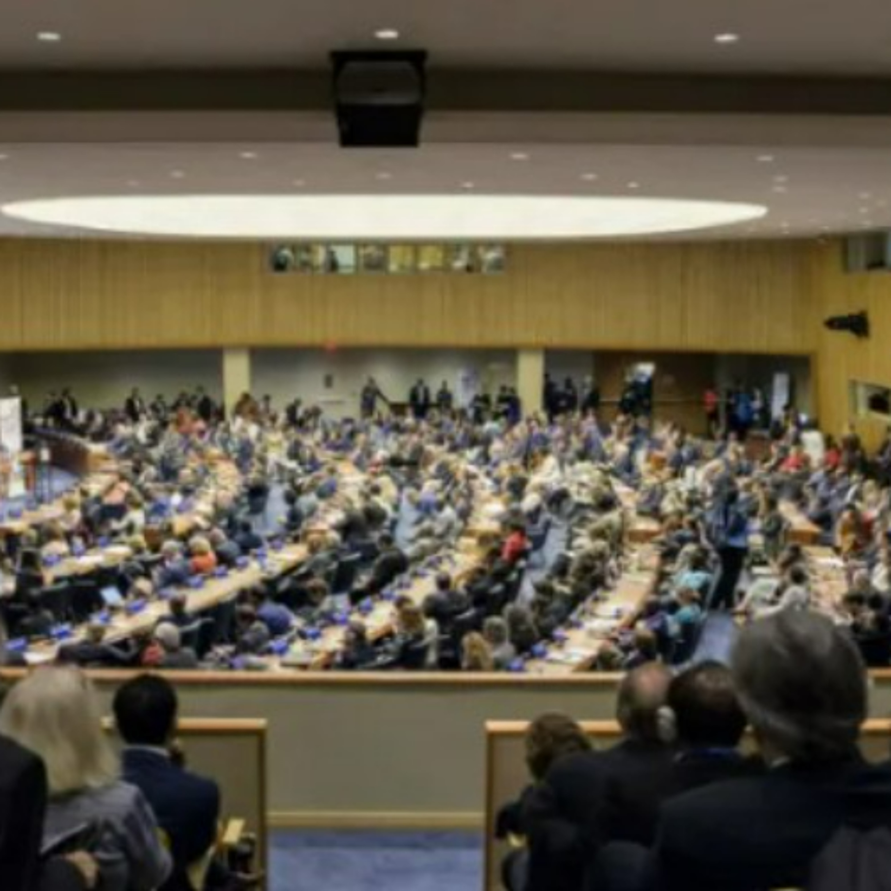 UN Declaration on NCDs Criticised as Weak, Civil Society Calls for Action