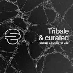 Tribale & Curated