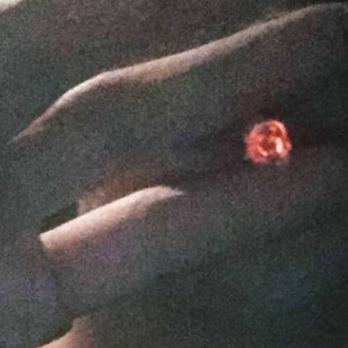 Zarzycki - Czarna Woda