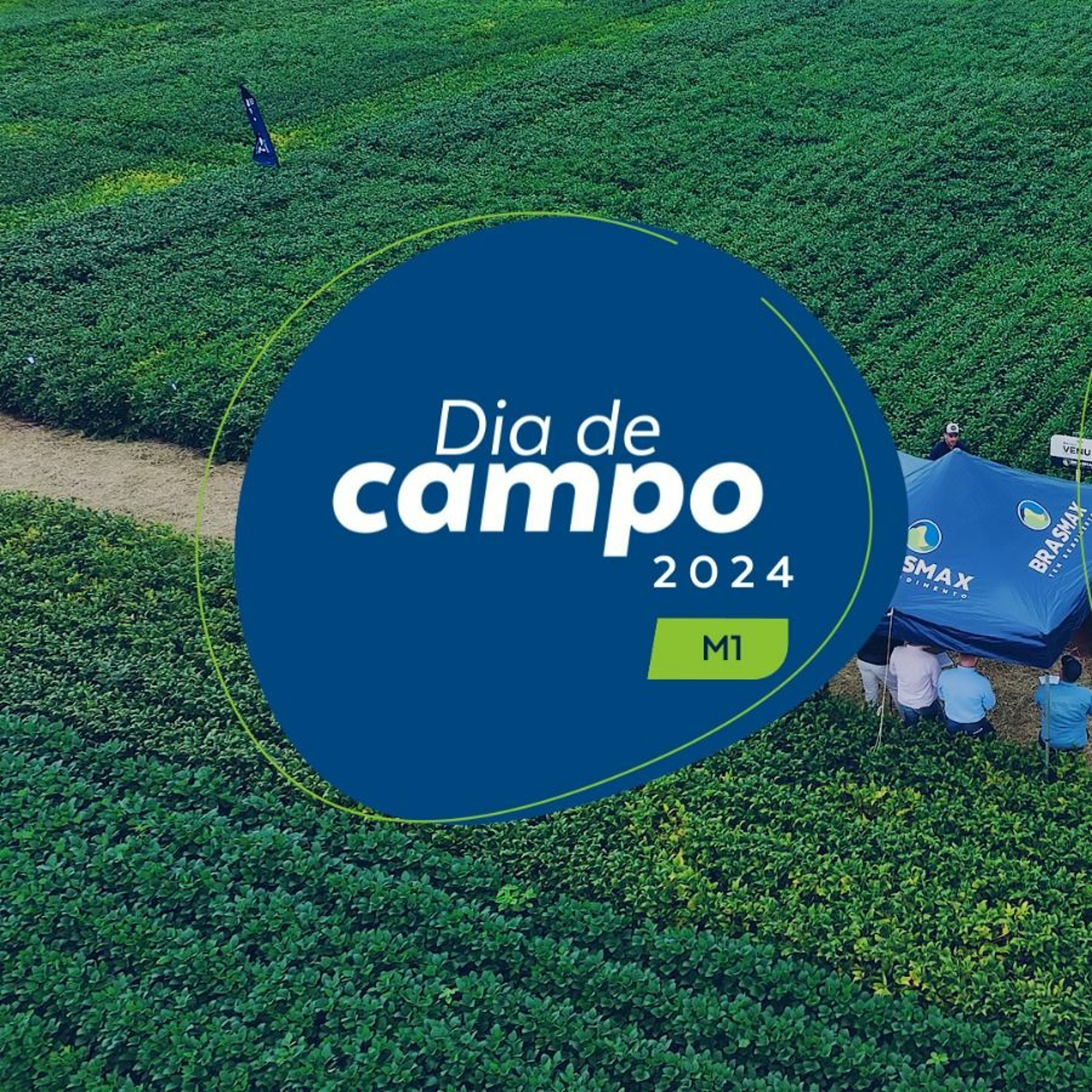 Momento AGRO Brasmax