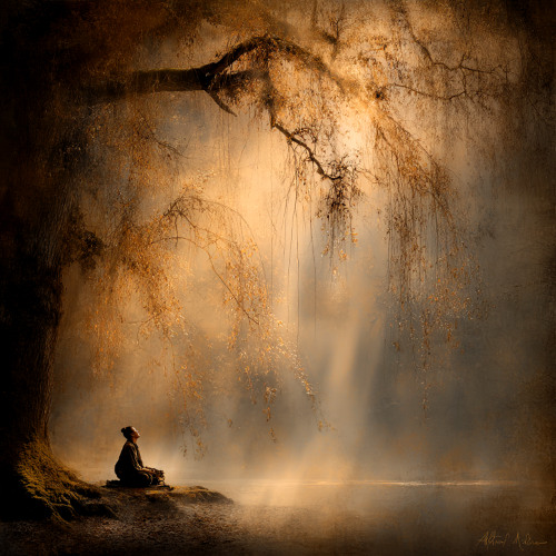 Whisper of Stillness