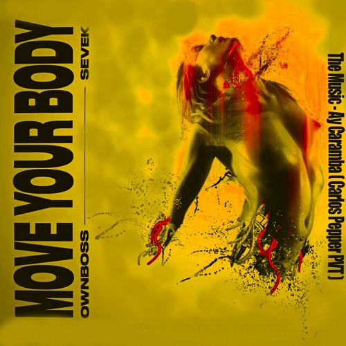 Öwnboss,Sevek-Move your body- Breno Barreto- Alex Marie- The Music -Ay Caramba(Carlos Pepper PVT )