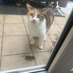 I wish you could see how much you mean to me