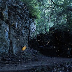 bringing forth (live draft)