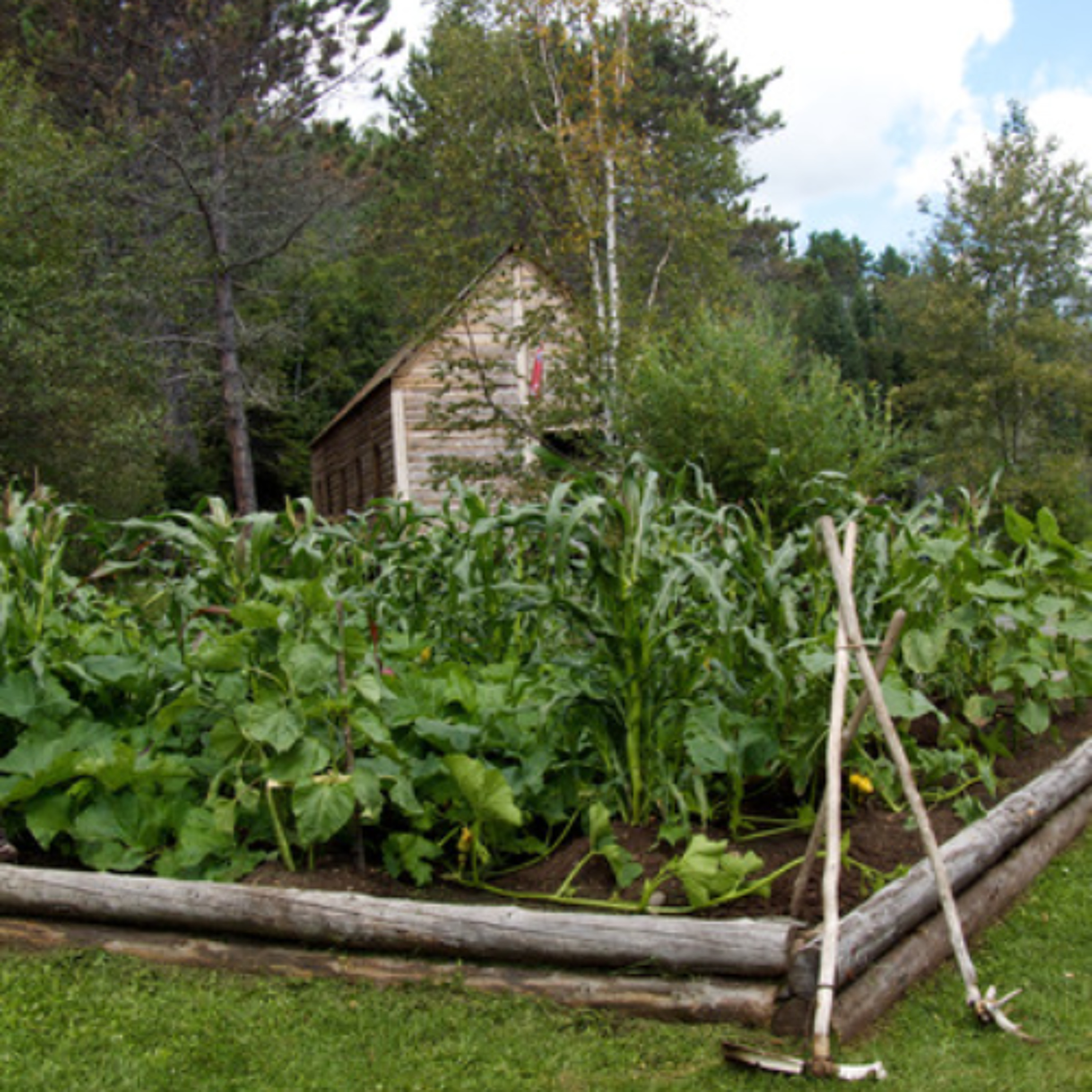 UW-Madison and Tribal Nations partner to support indigenous food sovereignty