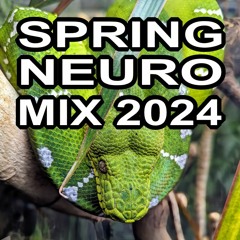 Spring Neuro Mix 2024