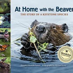 GET [EPUB KINDLE PDF EBOOK] At Home with the Beaver: A Story of a Keystone Species (The Story of a K