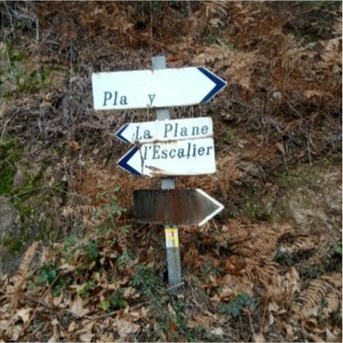 Exception