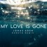 Jonas Aden - My Love Is Gone (DEREVO REMIX)