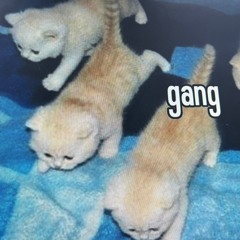 Gang Gang Dang Dang