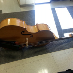 The Newtons Cradle: for Low String Quartet (2019)