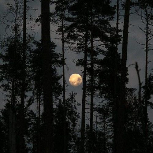 I can’t take it anymore-SCO sped up