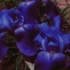 Beauty in Dark Places