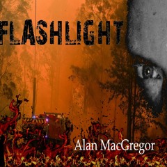 Flashlight (Live)
