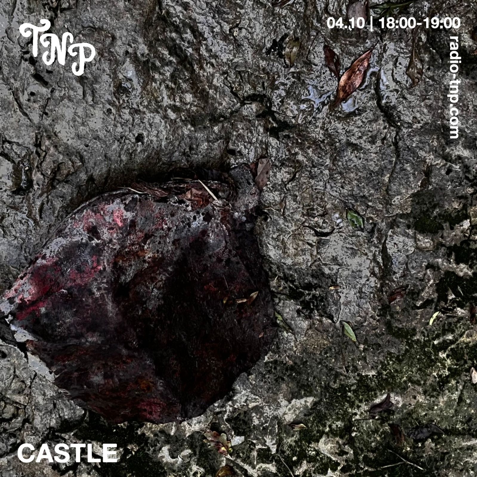 Castle