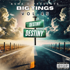 Asha D-BiG TinGs Vol.45{Dancehall}