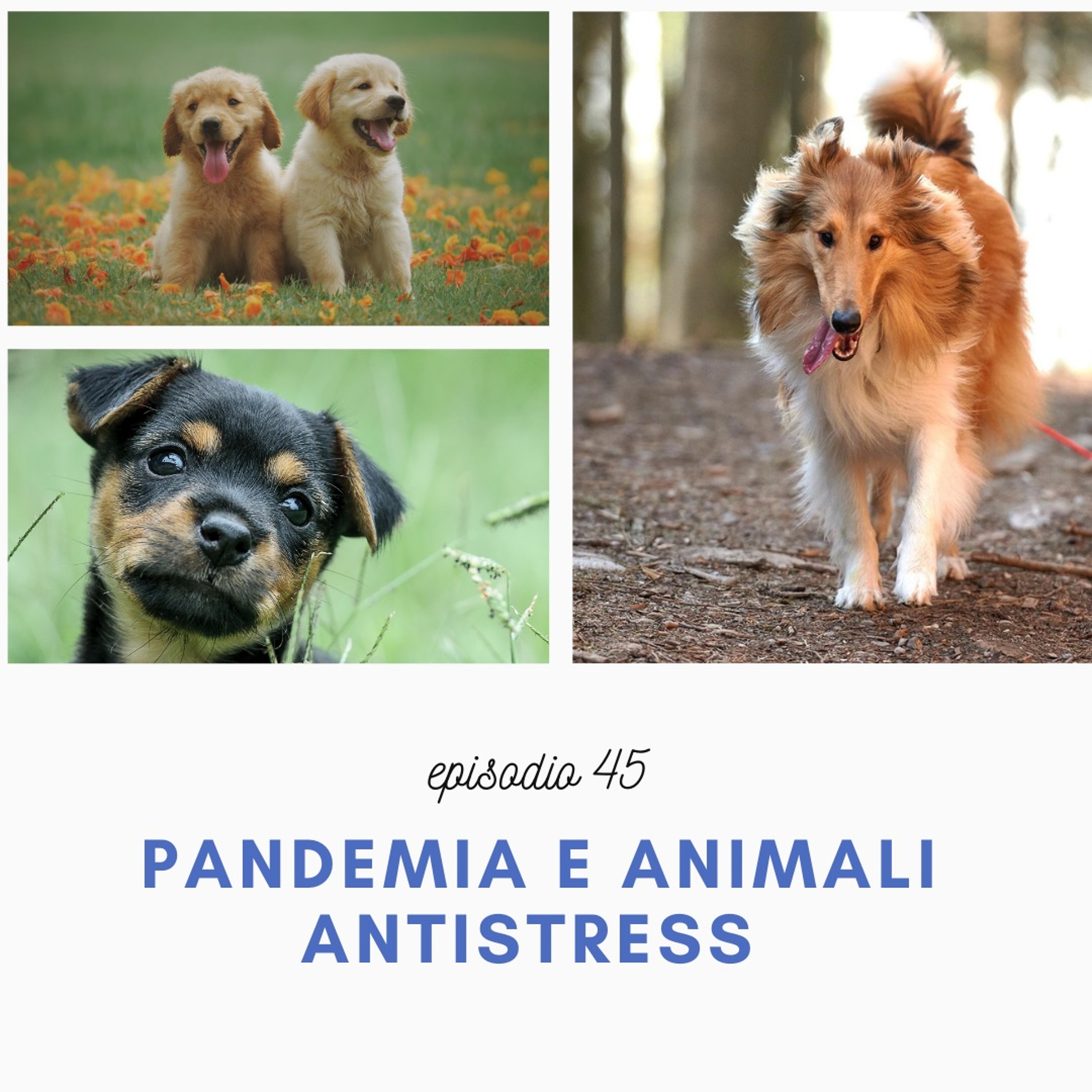 Quattro Stagioni 45 - Animali e pandemia (29.4.2021)