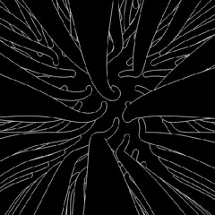 1006tendrils.mp666