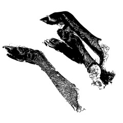 prayer (you were never here)