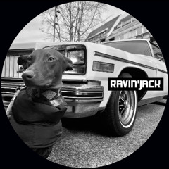 Analog Hustle - RAVIN'JACK