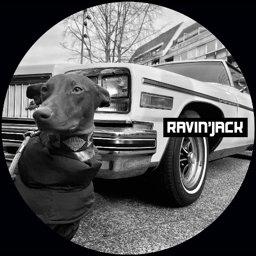 Analog Hustle - RAVIN'JACK