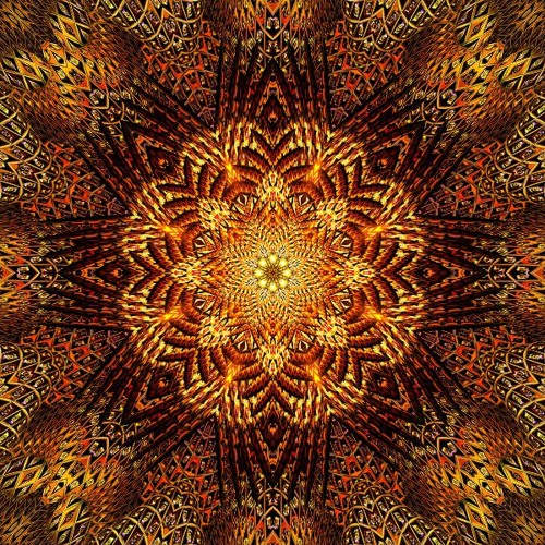 Inner Explorations