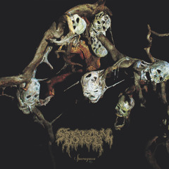 Be Cadaver