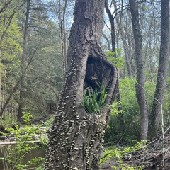 moment of peace ☮️ (prod. eeryskies)