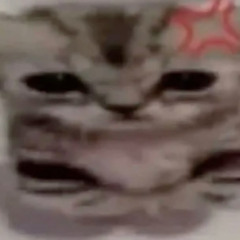 dom