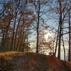 Getting Better at [Beat]ing My Dick (Prod.TODE!)