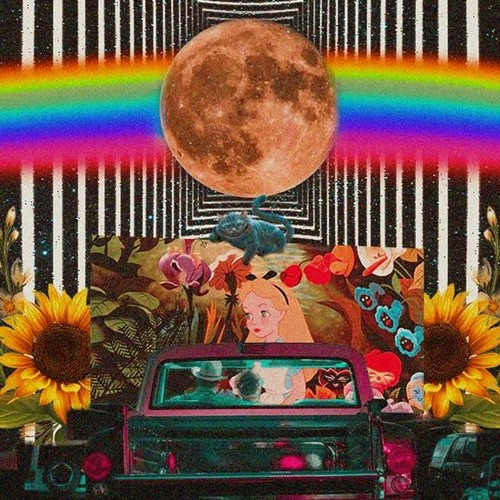 Apologies From Another Dimension