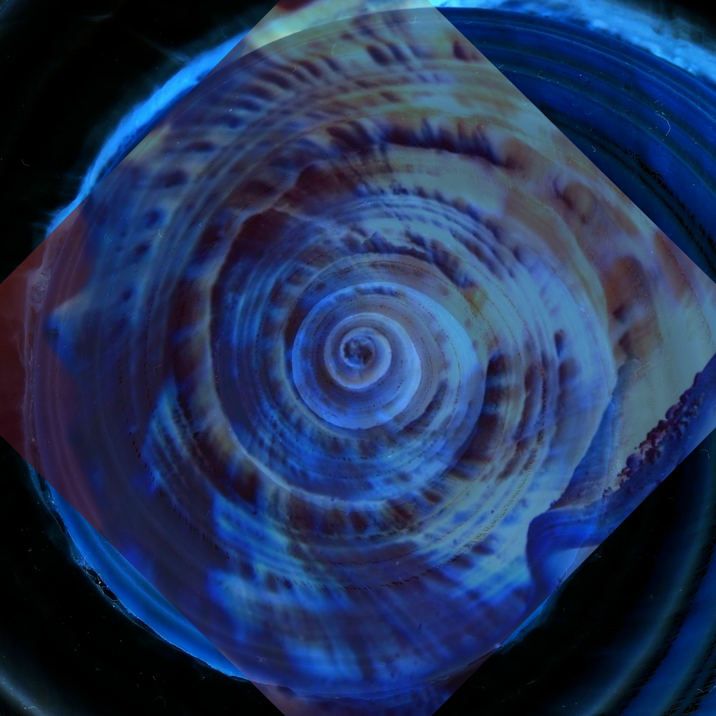 Ocean Acoustics episode artwork