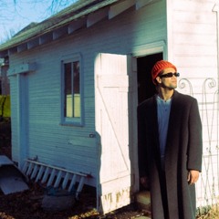 Tanooki Suit Ft Waluigi