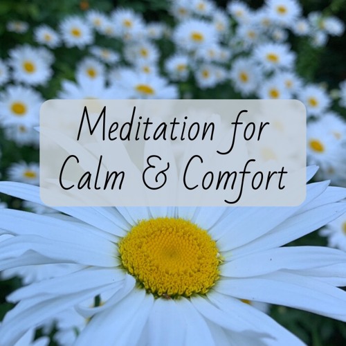 Meditation for Calm and Comfort