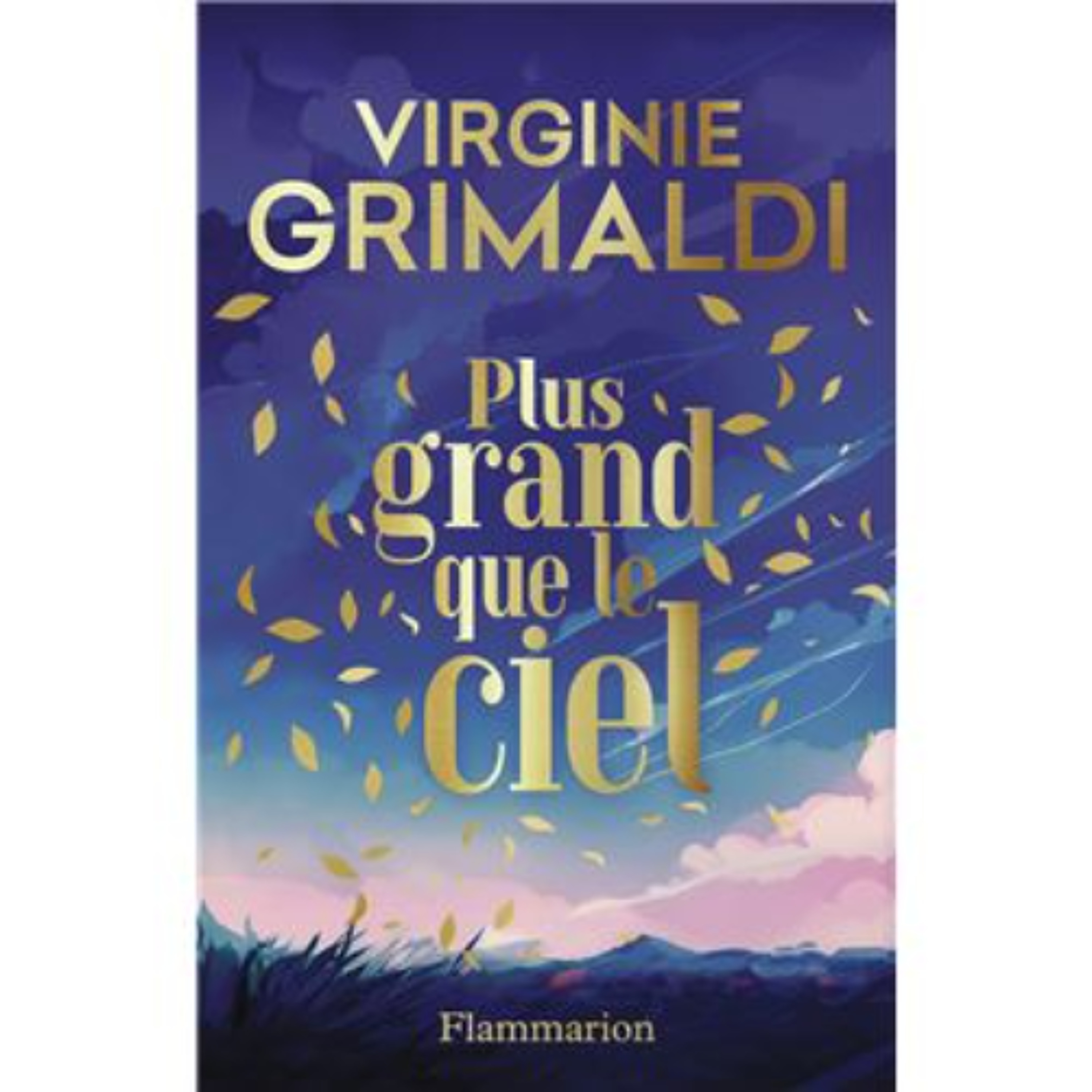 "Emilie part en livres": Plus grand que le ciel de Virginie Grimaldi