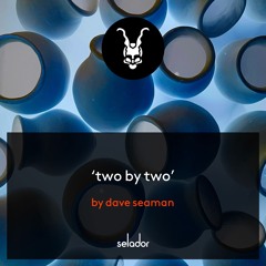 Premiere: Dave Seaman - Two By Two [Selador]
