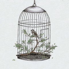 Birdsong