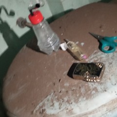 ngdinhquy