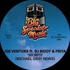 Secrets (Michael Gray Main Mix) [feat. Priya & DJ Biddy]